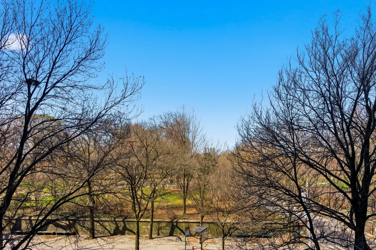 The park from the windows