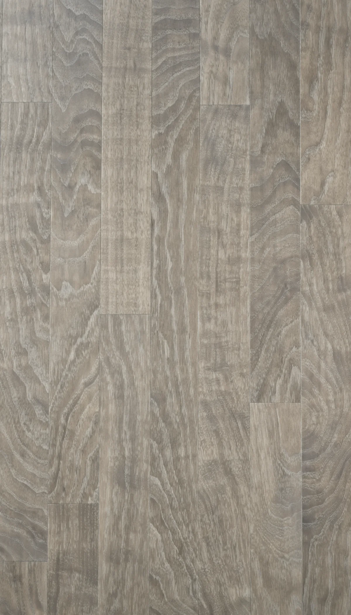 Floor option 5