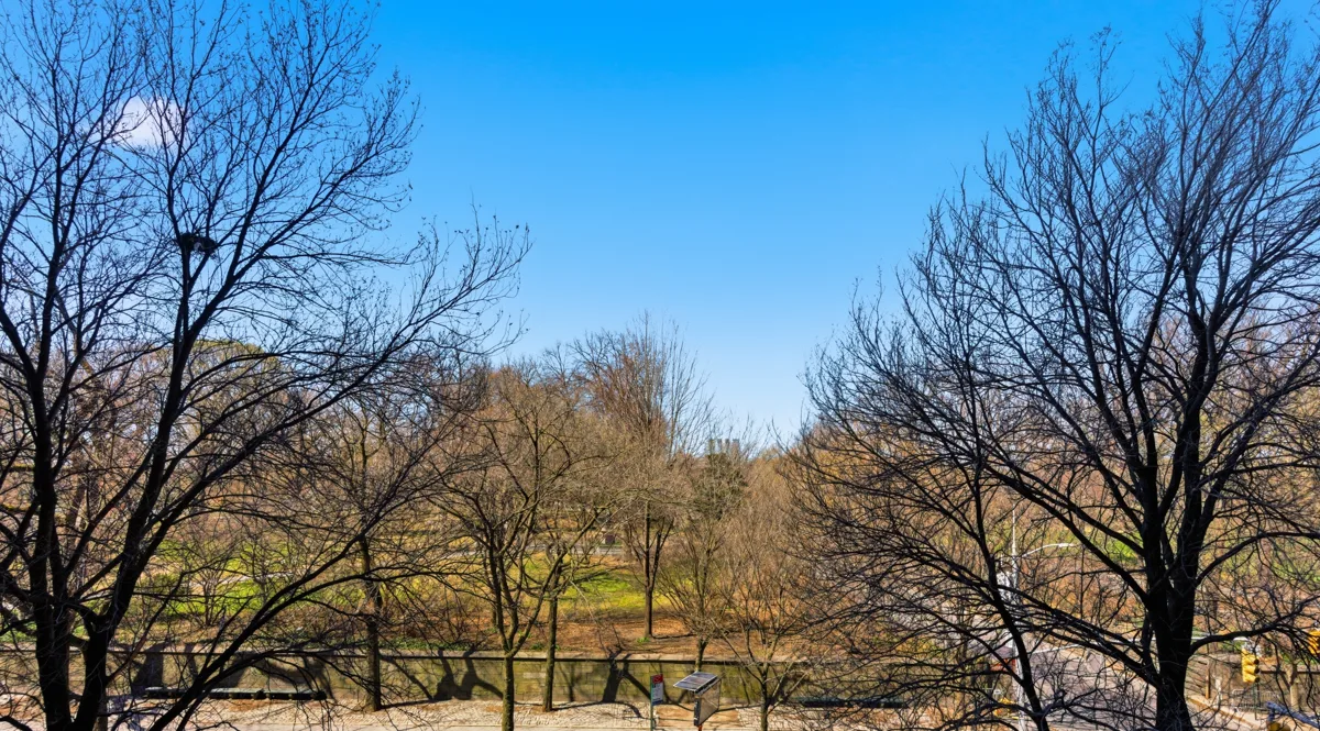 Central Park from the windows of Residence 4A